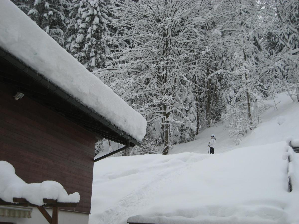Ski-In Ski-Out Chalet Kriekels - By Alpen Apartments Zell am See Exterior photo